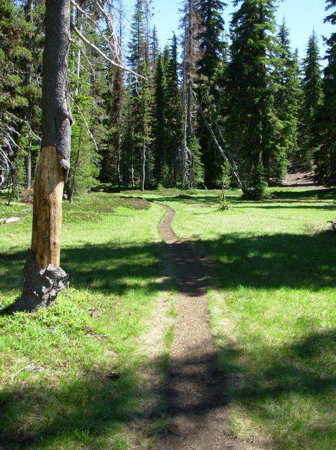 Summer '06 Sunriver II 080 